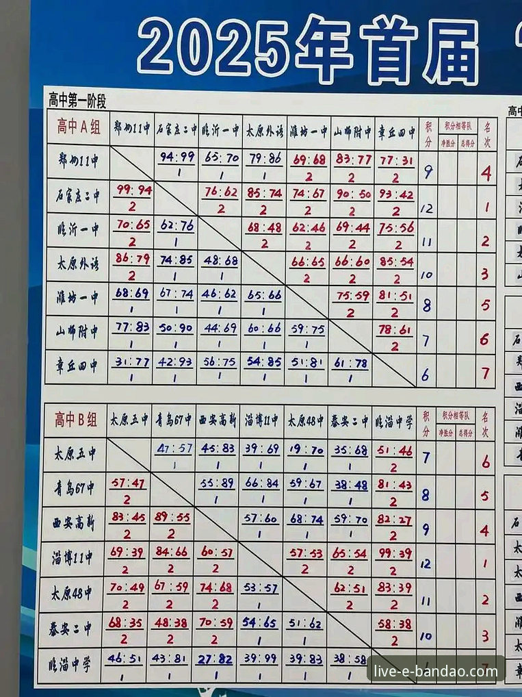 半岛体育平台：专业赛事分析与实时比分查询详解