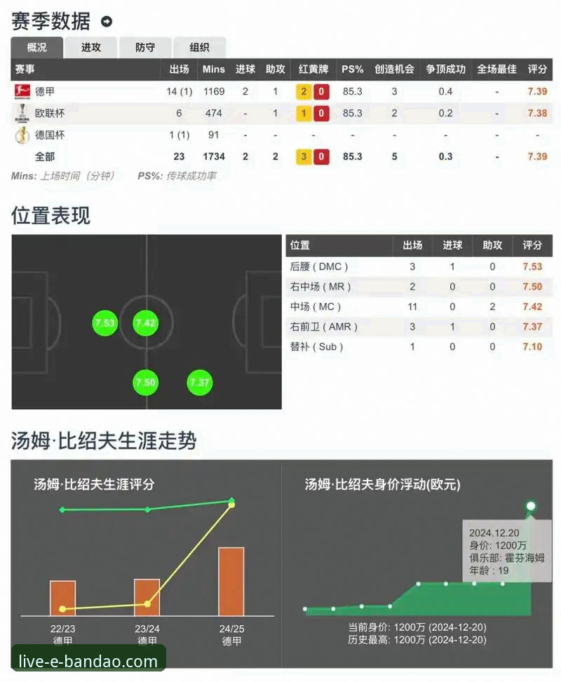半岛体育平台深度评测：一款专业体育比分查询平台的真实体验与数据解析