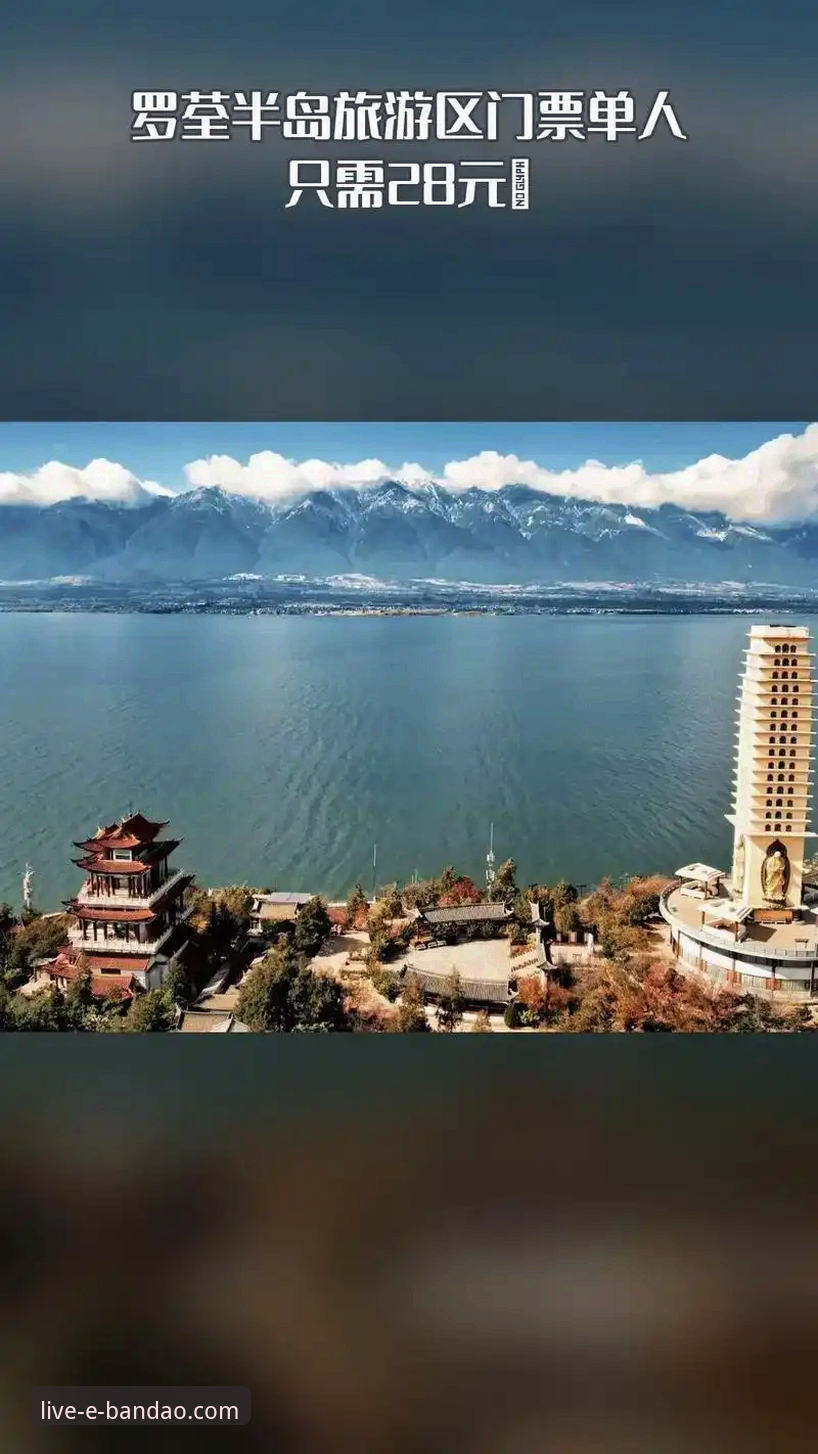 半岛体育平台v2.1.0版本更新的3大核心优势与深层解析